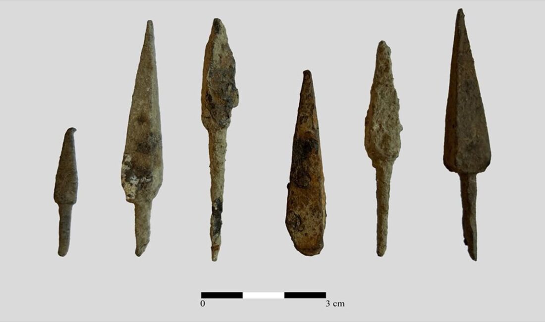 Kültür ve Turizm Bakanı Mehmet Nuri Ersoy, Malazgirt Tarihi Müslüman