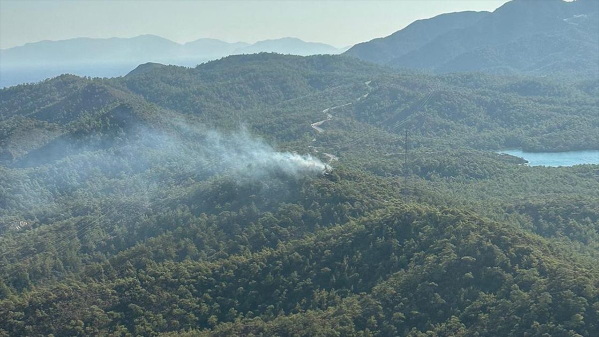 Muğla'nın Marmaris ilçesinde çıkan orman yangını ekiplerin havadan ve karadan