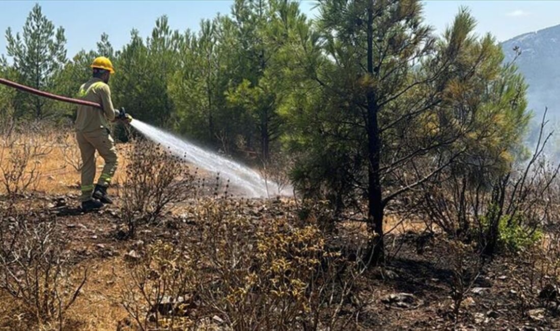 Mersin'de 15 Ağustos'ta, 4 noktada çıkan orman yangınlarıyla ilgili tutuklanan