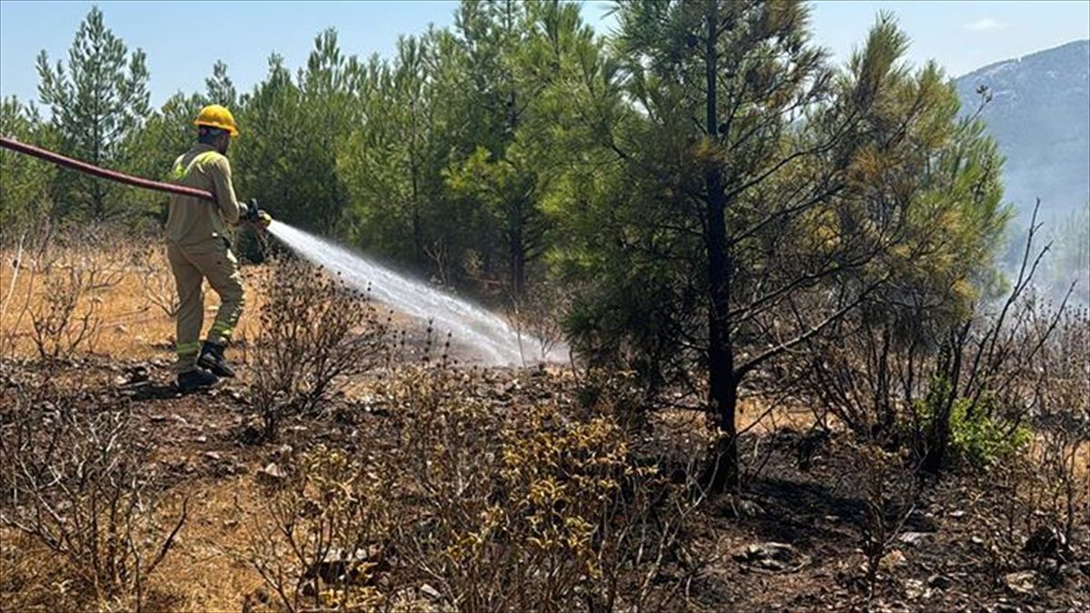 Mersin'de 15 Ağustos'ta, 4 noktada çıkan orman yangınlarıyla ilgili tutuklanan