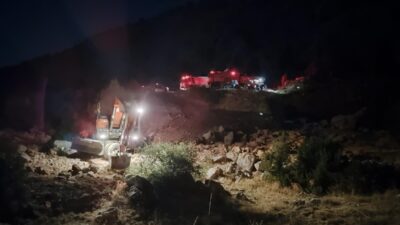 Mersin'in Erdemli ilçesindeki zirai ve ormanlık alanda çıkan yangın karadan