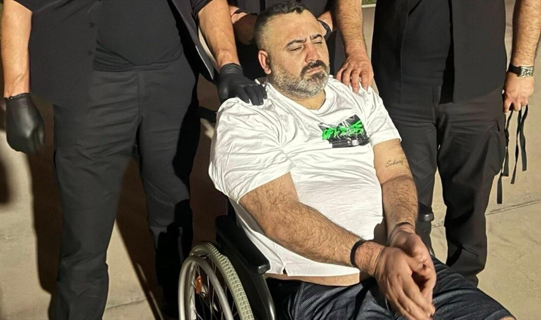 Milli İstihbarat Teşkilatı, 2018'de yurt dışına kaçan "Camgöz Grubu" olarak