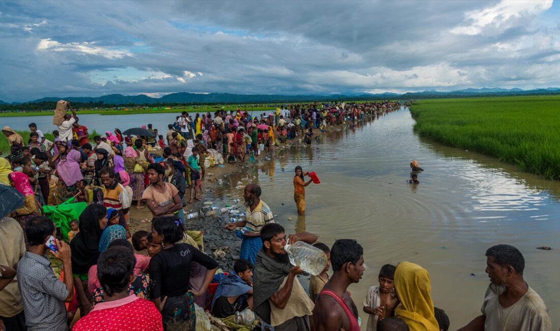 Myanmar'da ordunun saldırıları nedeniyle yüz binlerce Arakanlı Müslüman'ın (Rohingya) evlerini