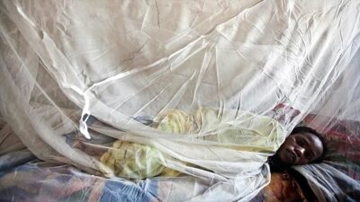 Nijerya'da hayvandan insana geçen ve ölümcül olabilen Lassa ateşi nedeniyle