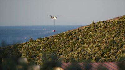 Türkiye'deki orman yangını sayısı temmuzda geçen yılın aynı ayına göre