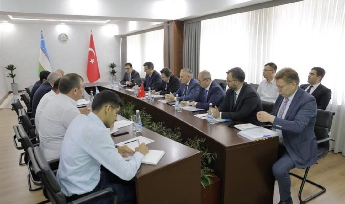 İSTANBUL (AA) – Özbekistan'da Türkiye Tarım Sigortaları Sistemi (TARSİM) modelinin