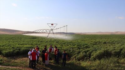 Şanlıurfa'da hayata geçirilen "Alo Ziraat Doktorum Projesi" sayesinde bahçesinde sorun