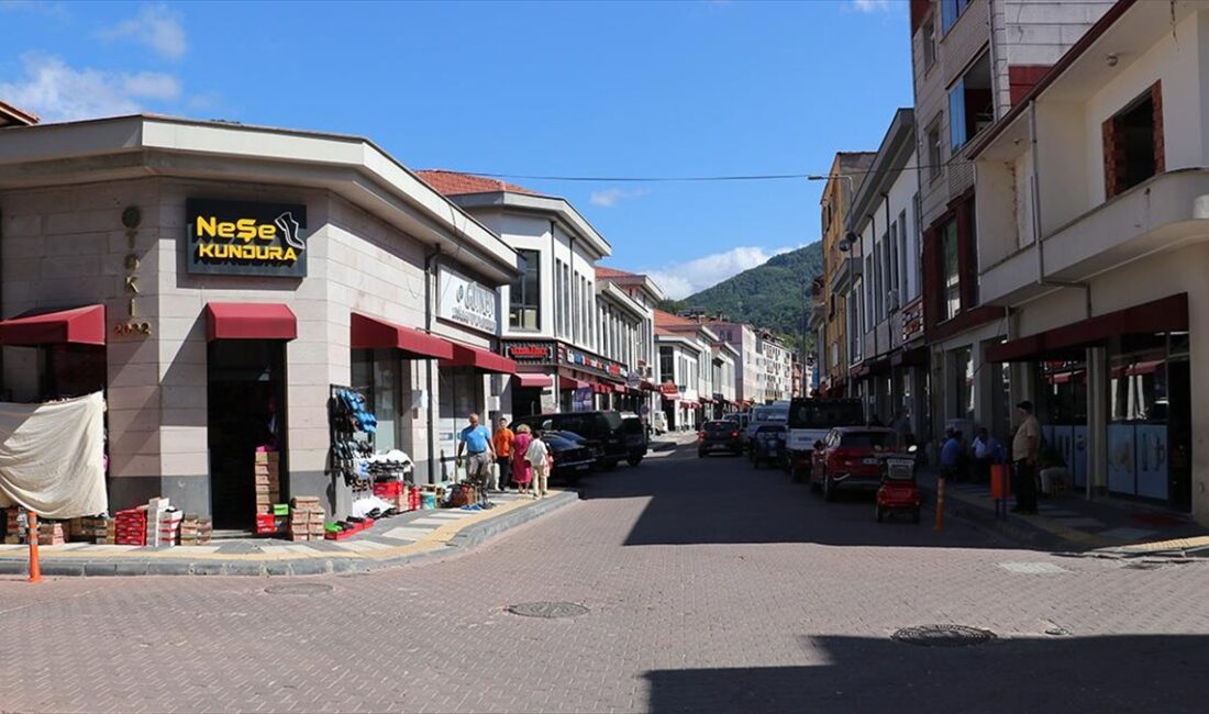 Kastamonu'nun Bozkurt ilçesinde 11 Ağustos 2021'de yaşanan sel felaketinin ardından