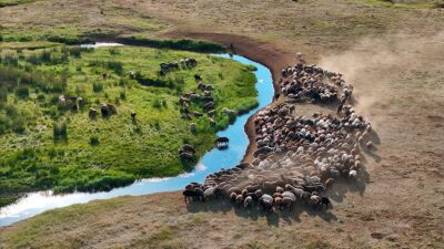 Bingöl'ün Solhan ilçesindeki Şerafettin Yaylası, otlakları, su kaynakları ve serin