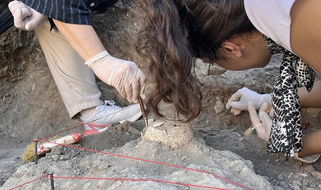 Çanakkale merkeze bağlı Tevfikiye köyü sınırlarındaki yaklaşık 5 bin 500