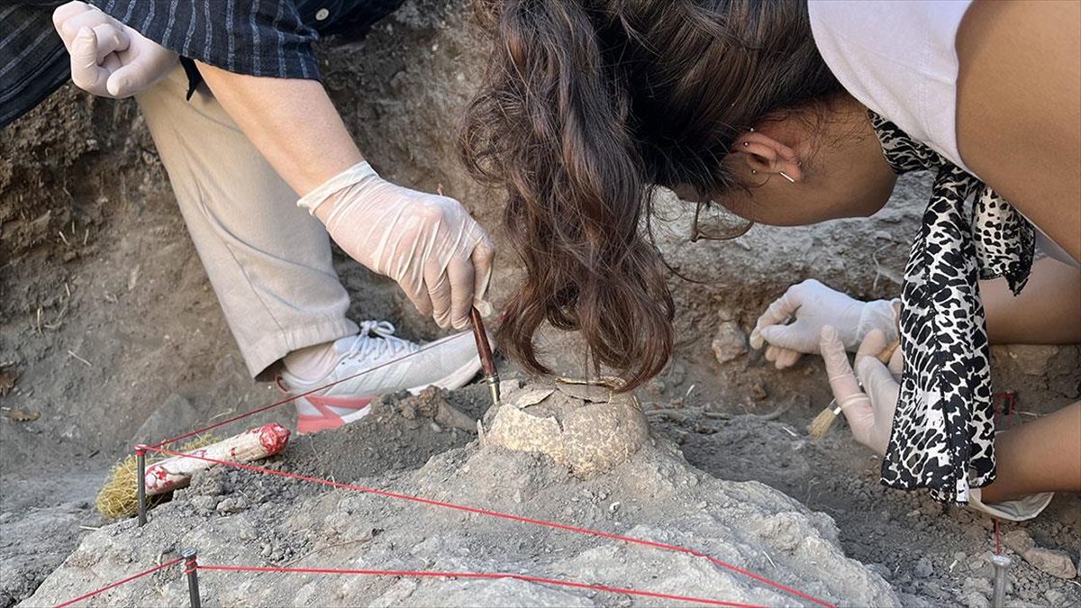 Çanakkale merkeze bağlı Tevfikiye köyü sınırlarındaki yaklaşık 5 bin 500