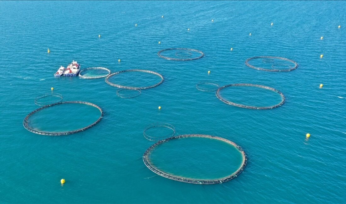 Su ürünleri yetiştiriciliği kriterlerinde düzenlemeye gidildi Tarım ve Orman Bakanlığı tarafından hazırlanan "Su Ürünleri Yetiştiriciliği Yönetmeliği'nde