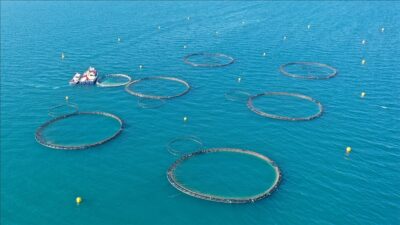 Tarım ve Orman Bakanlığı tarafından hazırlanan "Su Ürünleri Yetiştiriciliği Yönetmeliği'nde