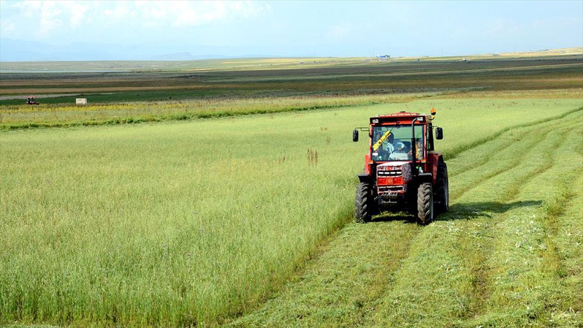 Tarımsal girdi fiyat endeksi (Tarım-GFE), haziranda aylık bazda yüzde 0,93,