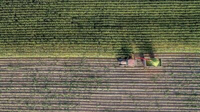 Üretim planlamasıyla stratejik ürünlerin en uygun yerde yetiştirilmesi, kaynak kullanımında