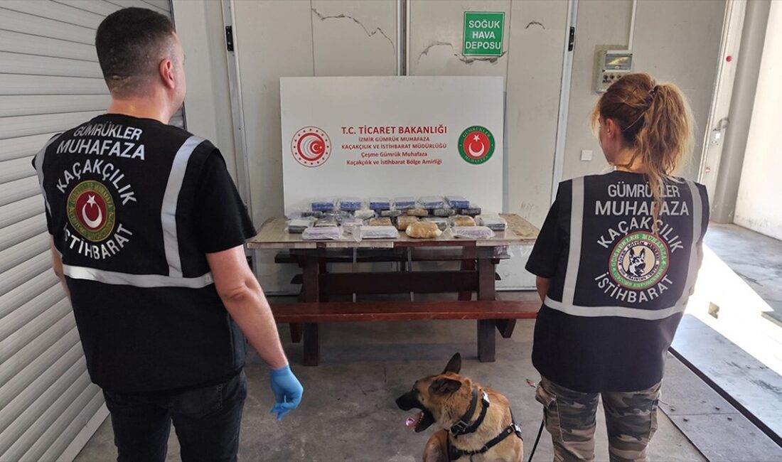 Ticaret Bakanlığı Gümrük Muhafaza ekipleri, Taşucu ve Çeşme limanlarında düzenledikleri