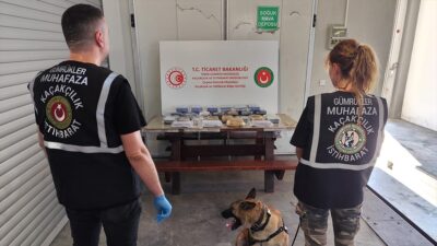 Ticaret Bakanlığı Gümrük Muhafaza ekipleri, Taşucu ve Çeşme limanlarında düzenledikleri