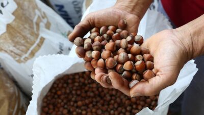 Buna göre, Çiftçi Kayıt Sistemi'ne kayıtlı rutubet oranı yüzde 6,5'e