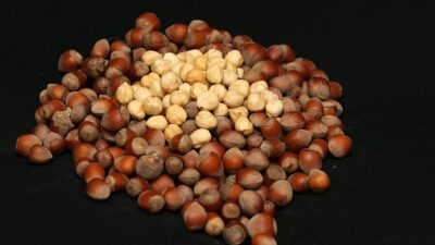 Trabzon'dan yılın ocak-temmuz döneminde 442 milyon 777 bin dolarlık fındık