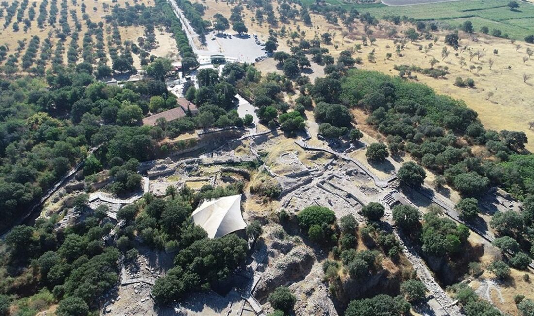 Çanakkale merkeze bağlı Tevfikiye köyü sınırları içindeki 5 bin 500
