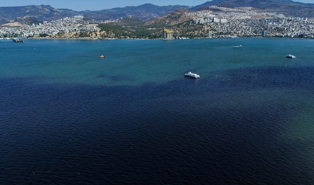 TÜBİTAK MARMARA Araştırma Gemisi, balık ölümlerinin görüldüğü İzmir Körfezi'nde çeşitli