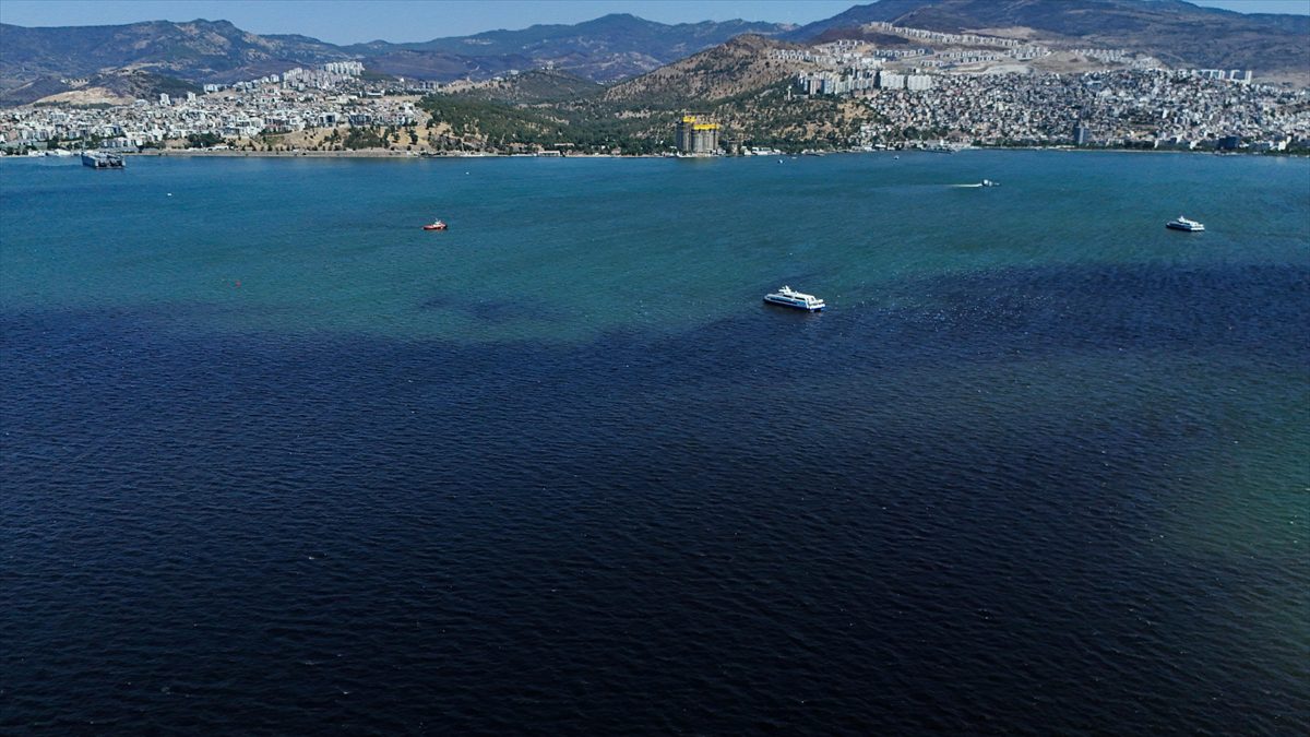 TÜBİTAK MARMARA Araştırma Gemisi, balık ölümlerinin görüldüğü İzmir Körfezi'nde çeşitli