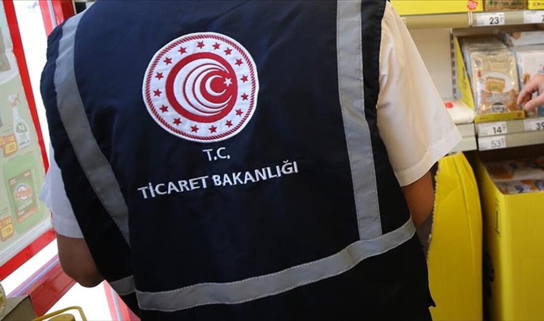 Türkiye'de piyasa gözetimi ve denetimi faaliyeti yürüten kuruluşlar tarafından geçen