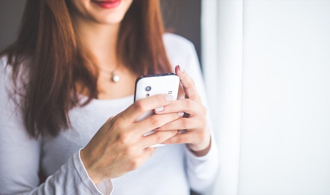 Türkiye'de interneti özel amaçlı faaliyetler için kullanan bireylerin yüzde 95,5'i