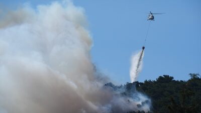 Türkiye'de geçen yıl 1 Ocak-19 Ağustos döneminde 1419 orman yangını