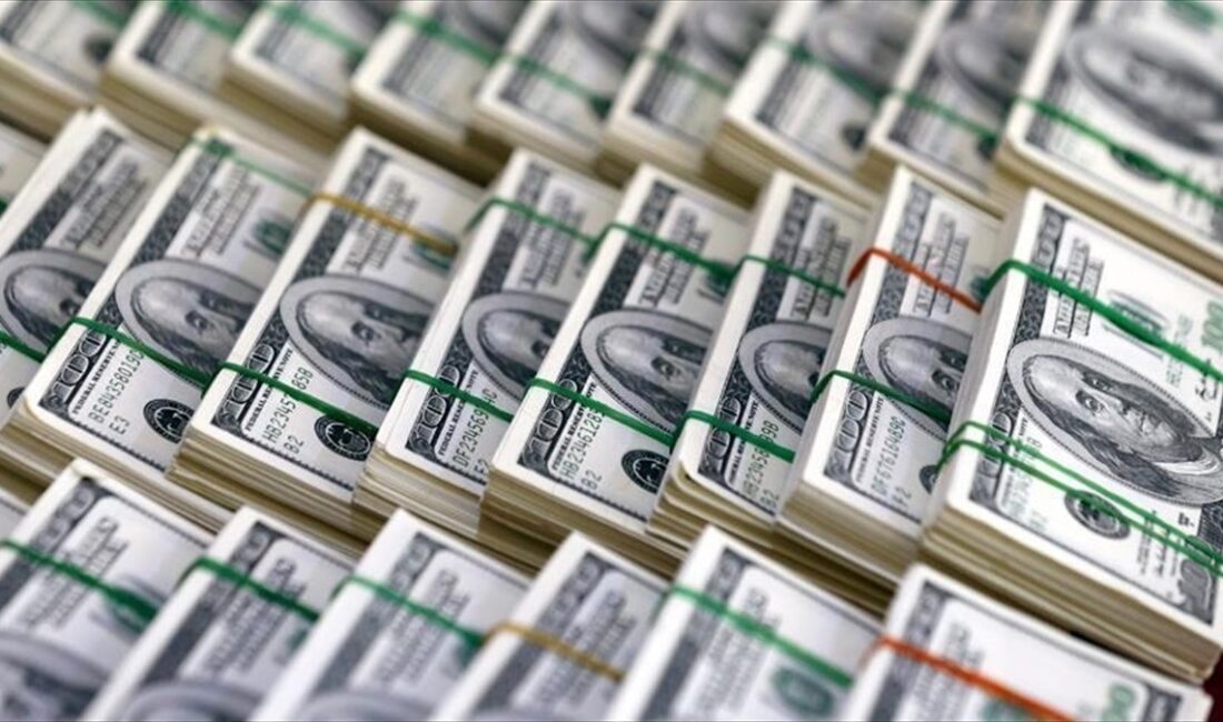 Hazine ve Maliye Bakanı Şimşek, Türkiye'nin 10 yıl vadeli dolar