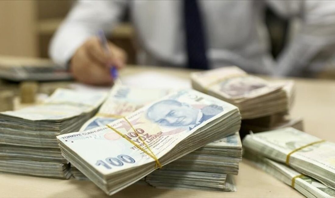 Kalkınma ajansları, Türkiye'de bölgesel kalkınmanın sağlanması ve yerel değerlerin harekete