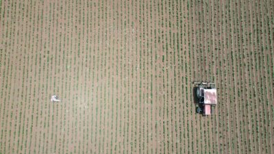 Tarım ve Orman Bakanı İbrahim Yumaklı, bu yılın ilk 7