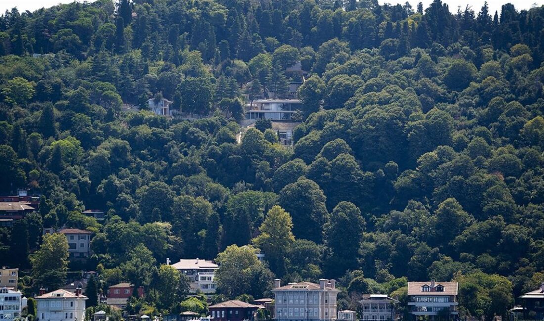 İstanbul Çevre Şehircilik ve İklim Değişikliği İl Müdürlüğü ekipleri, Üsküdar