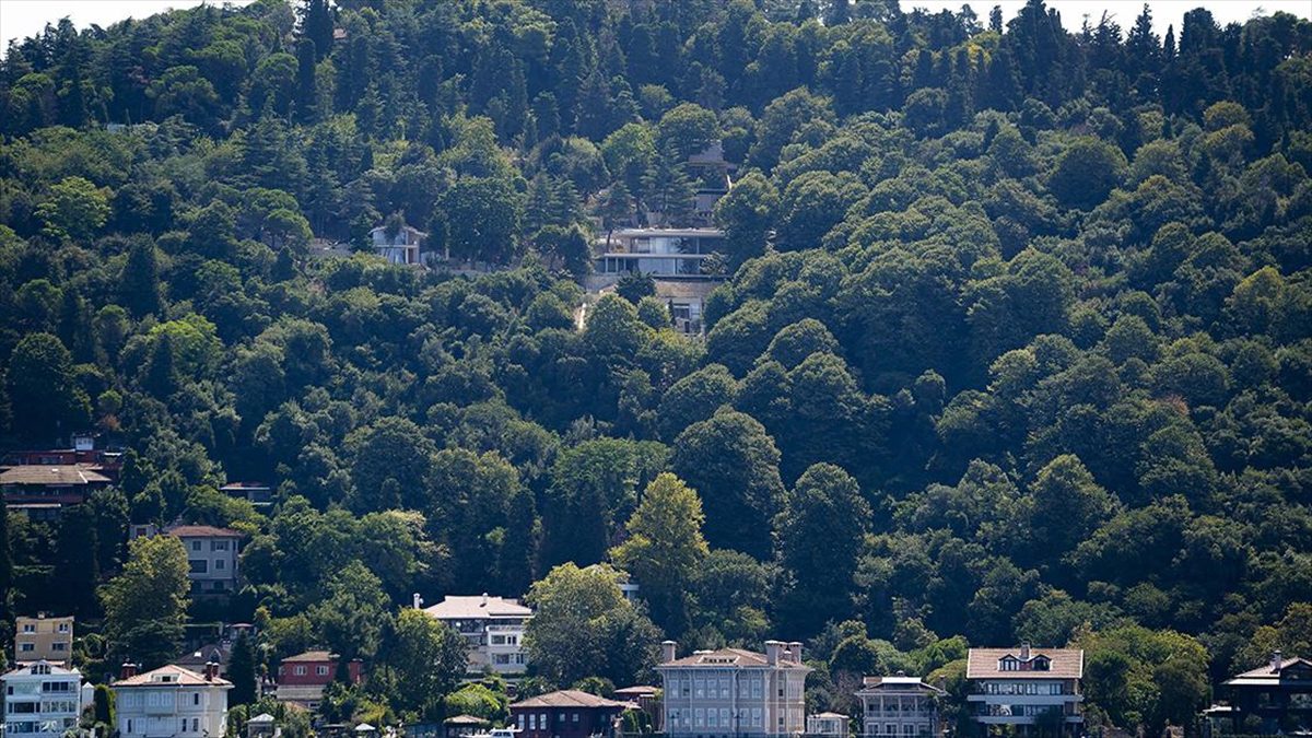 İstanbul Çevre Şehircilik ve İklim Değişikliği İl Müdürlüğü ekipleri, Üsküdar