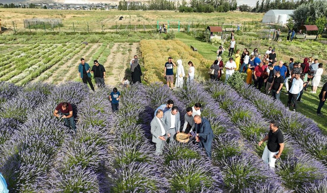 Van Yüzüncü Yıl Üniversitesinde (YYÜ) "5. Tıbbi ve Aromatik Bitkiler