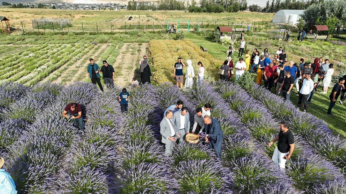 Van Yüzüncü Yıl Üniversitesinde (YYÜ) "5. Tıbbi ve Aromatik Bitkiler