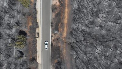 İzmir, Aydın, Manisa ve Uşak'ta ekiplerin aralıksız mücadele ettiği orman