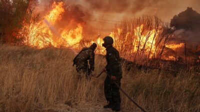 Yunanistan'ın Kavala kentindeki Pangeo Dağı'nda 22 Ağustos'ta başlayan orman yangını,