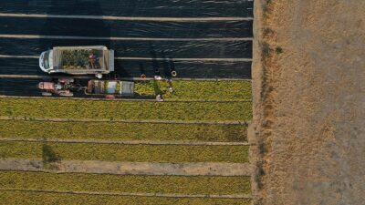 Tarım ve Orman Bakanlığı, son dönemde işlenmeyen tarım arazilerinin kiraya