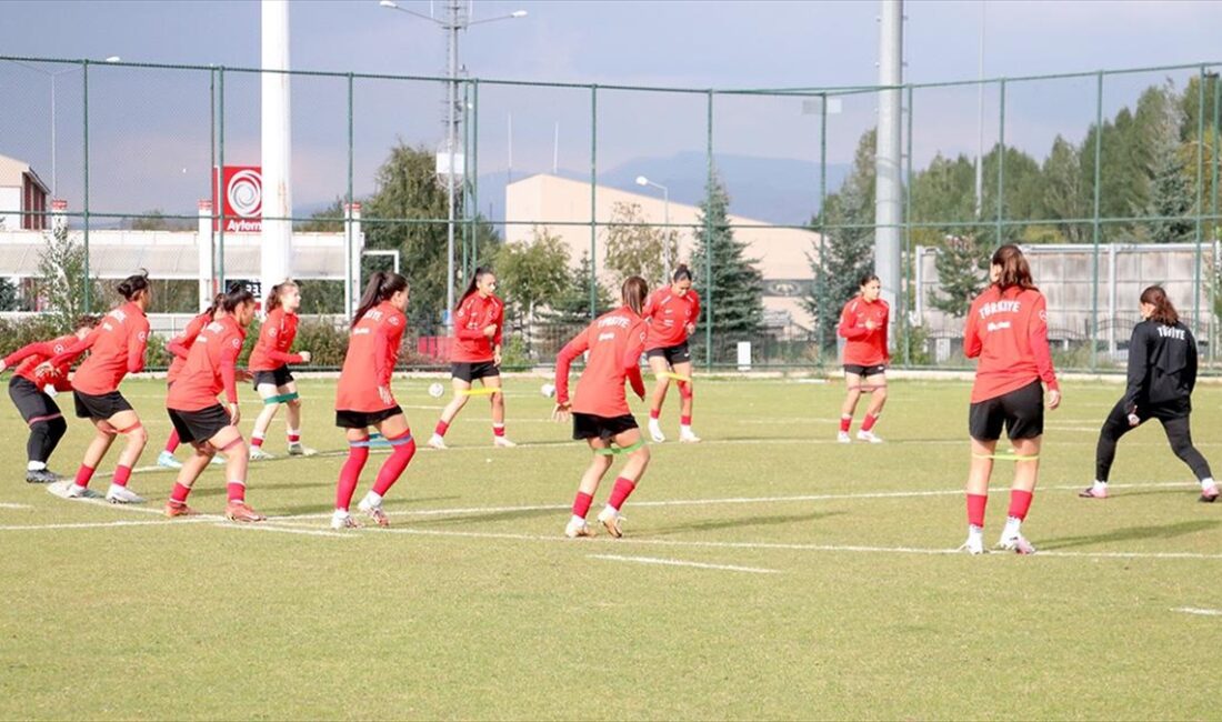 Teknik Direktör Aytürk Kıyıcı, "Hedefimiz bu Avrupa Şampiyonası'nda A Ligi'nde