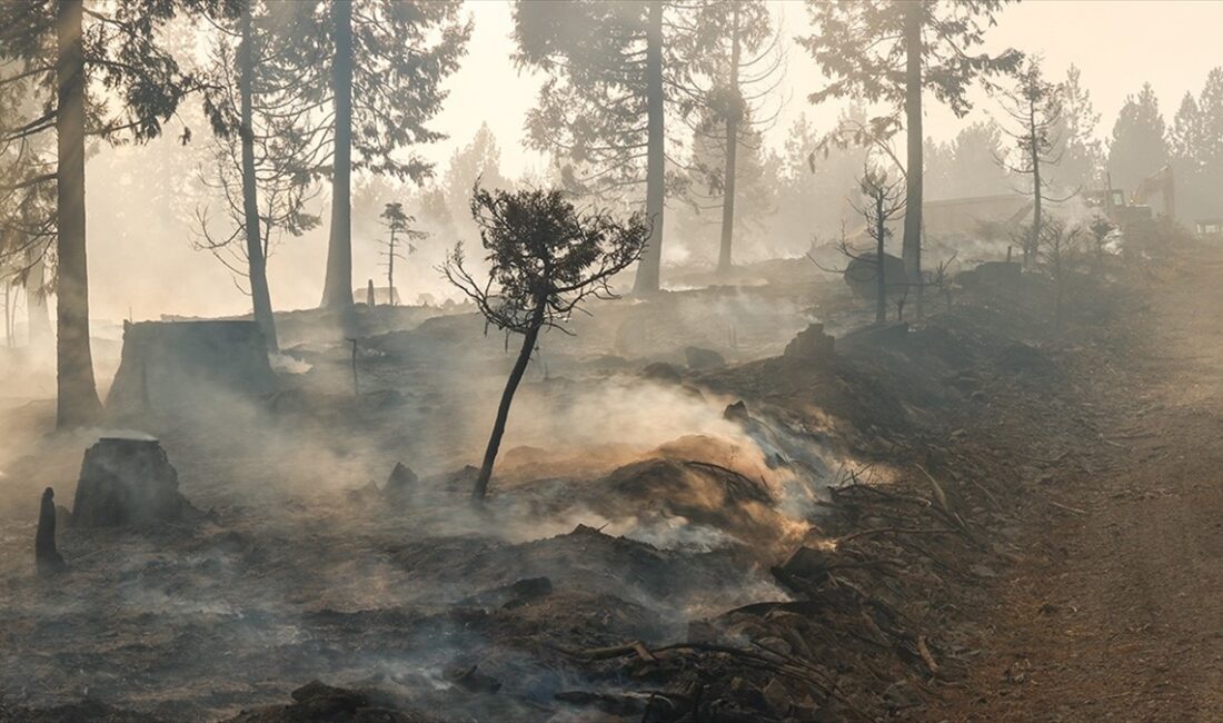 ABD’nin California eyaletinde çıkan yangınlarda 440 kilometrekareden fazla alanın kül