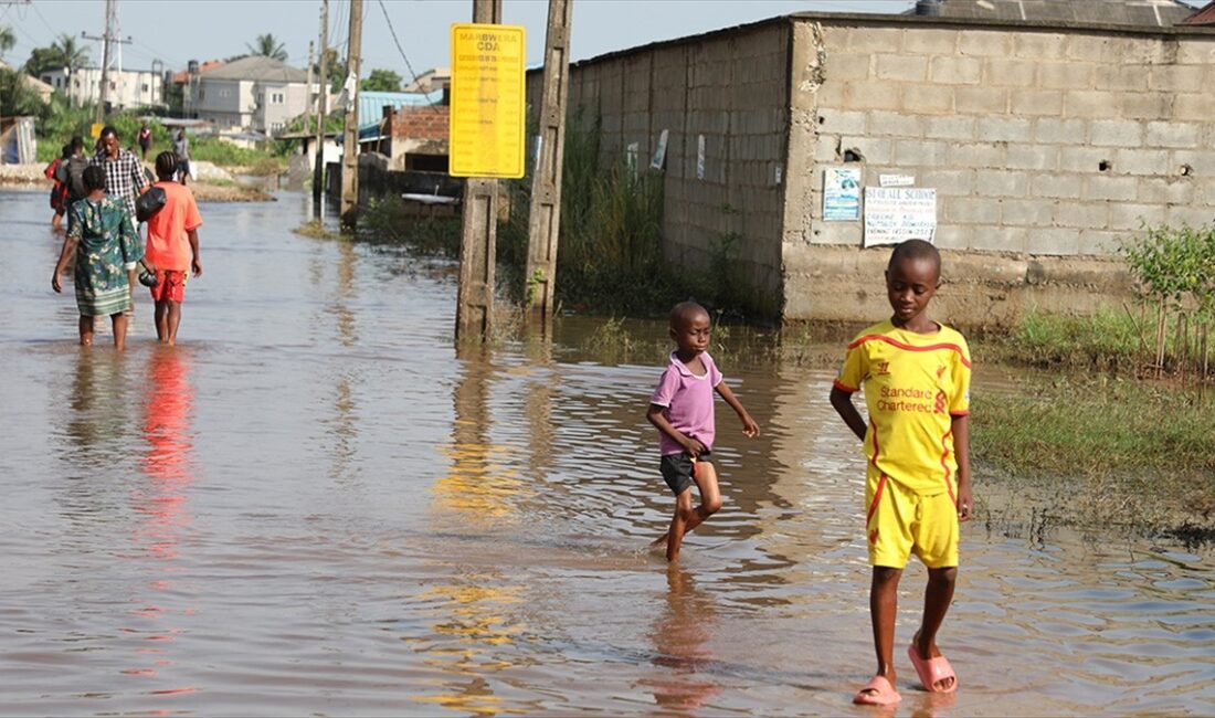 Afrika'nın batısında Mali, Nijerya ve Nijer'de şiddetli yağış ve seller
