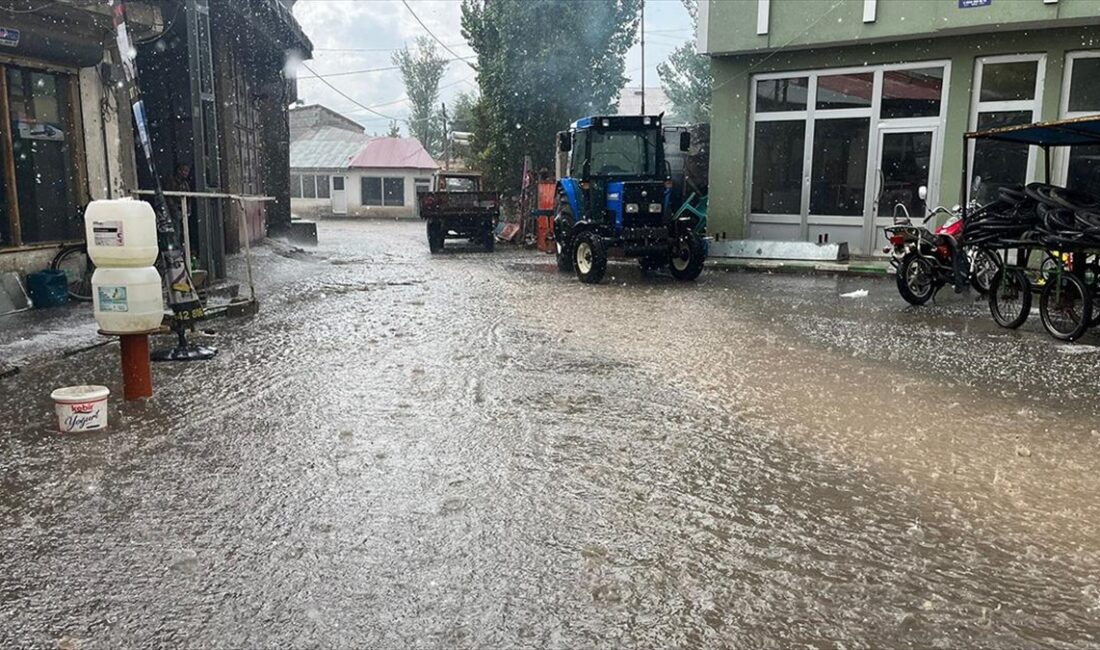 Ağrı'nın Taşlıçay ilçesinde sağanak ve dolu yaşamı olumsuz etkiledi.