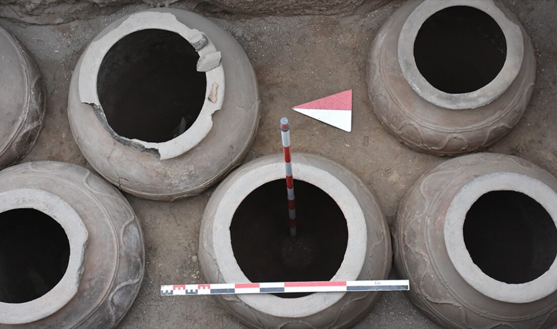 Kars'taki Ani Ören Yeri'ndeki kazı çalışmalarında, Büyük Selçuklu dönemine tarihlenen
