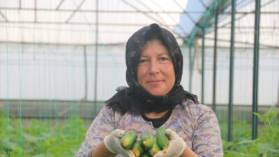 ANTALYA (AA) – Antalya’da çiftçiler 40 dereceye ulaşan sıcaklıkta sezonun