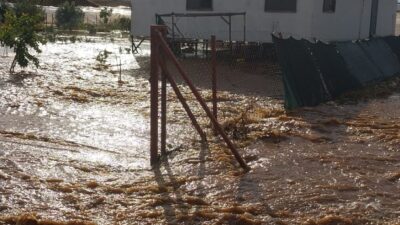 ANTALYA (AA) – Antalya'da çıkan hortum ev ve seralara zarar