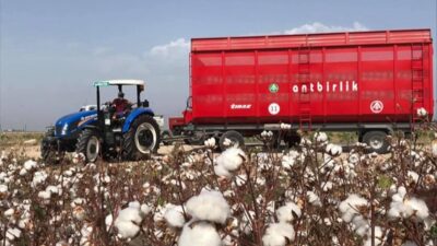 ANTALYA (AA) – Antalya Pamuk ve Narenciye Tarım Satış Kooperatifleri