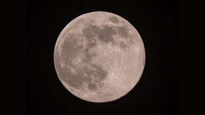 ANKARA (AA) – Başkent Pekin’de bulunan &Ccedil;in Bilim Akademisi’nde bilim