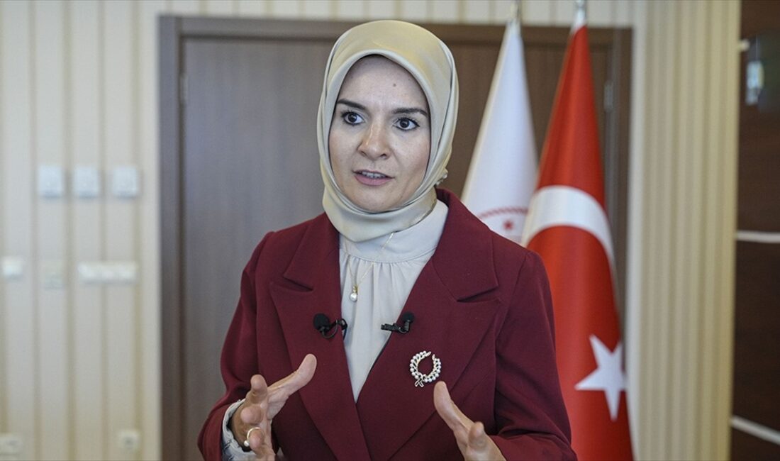 Aile ve Sosyal Hizmetler Bakanı Mahinur Özdemir Göktaş, "Hukuki süreci