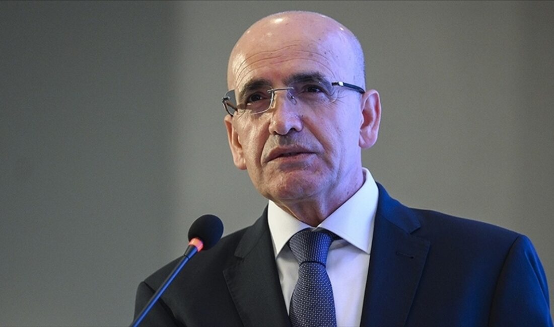 Hazine ve Maliye Bakanı Mehmet Şimşek, 79. BM Genel Kurulu